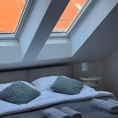 Cozy *
