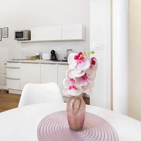 Cozy Apartment
