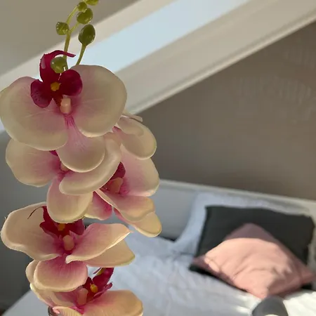 Cozy Apartament Lublana