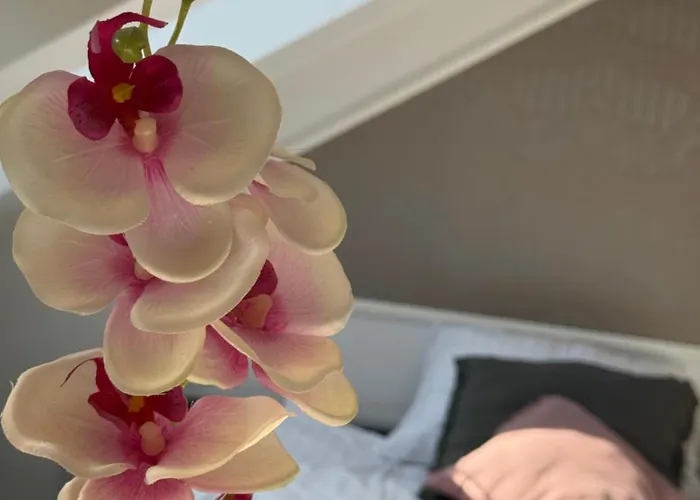 Cozy شقة ليوبليانا